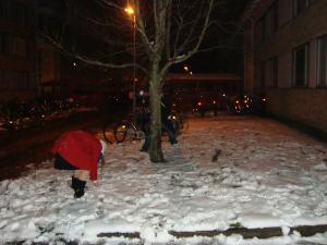 <img300*0:stuff/z/1/FattÃ¶mning%25202008/dsc00763.jpg>