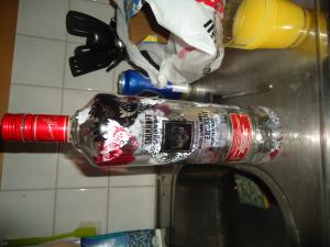 <img300*0:stuff/z/1/FirstCorridorParty/dsc03725.jpg>