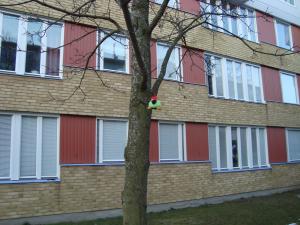 <img300*0:stuff/z/1/ForDomD2009/DSC01388.JPG>