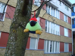 <img300*0:stuff/z/1/ForDomD2009/DSC01389.JPG>