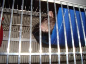 <img300*0:stuff/z/1/Friday13th.../DSC07175.JPG>