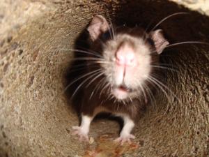 <img300*0:stuff/z/1/Friday13th.../DSC07177.JPG>