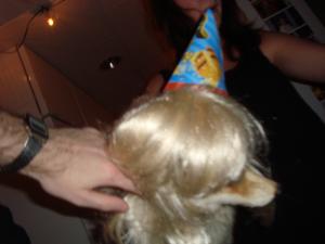 <img300*0:stuff/z/1/Friday13th.../DSC07182.JPG>
