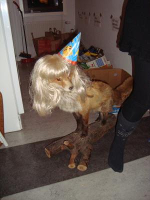 <img300*0:stuff/z/1/Friday13th.../DSC07183.JPG>