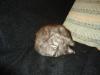 Friday2010-08-20