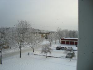 <img300*0:stuff/z/1/FrostyWinter/DSC08201.JPG>
