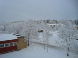 <img300*0:stuff/z/1/FrostyWinter/DSC08202.JPG>