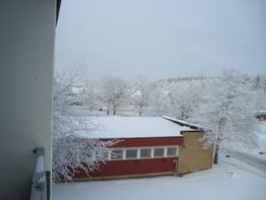<img300*0:stuff/z/1/FrostyWinter/DSC08203.JPG>