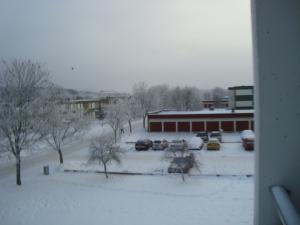 <img300*0:stuff/z/1/FrostyWinter/DSC08204.JPG>