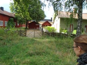 <img300*0:stuff/z/1/Gamla%2520Linkoping%2520and%2520the%2520search%2520for%2520Karna%2520mosse/DSC06056.JPG>