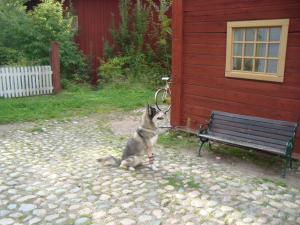 <img300*0:stuff/z/1/Gamla%2520Linkoping%2520and%2520the%2520search%2520for%2520Karna%2520mosse/DSC06060.JPG>