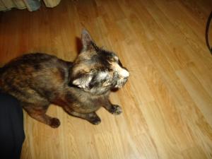 <img300*0:stuff/z/1/GesaMovingIn/dsc02075.jpg>