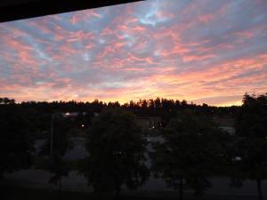 <img300*0:stuff/z/1/GesaMovingIn/dsc02082.jpg>