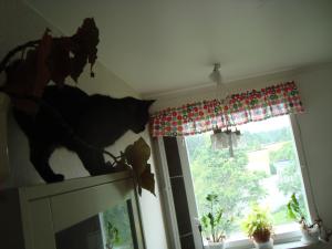 <img300*0:stuff/z/1/Getting%2520my%2520stove%2520fixed/DSC04898.JPG>