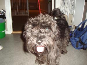 <img300*0:stuff/z/1/Good%2520bye%2520Uli/DSC01792.JPG>