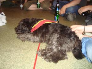 <img300*0:stuff/z/1/Good%2520bye%2520Uli/DSC01801.JPG>