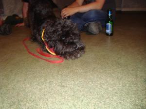 <img300*0:stuff/z/1/Good%2520bye%2520Uli/DSC01802.JPG>