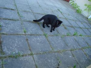 <img300*0:stuff/z/1/GoodByeAzami/DSC01455.JPG>