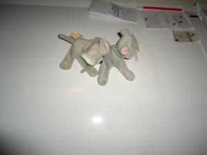 <img300*0:stuff/z/1/GoodbyeJohanna/dsc03855.jpg>