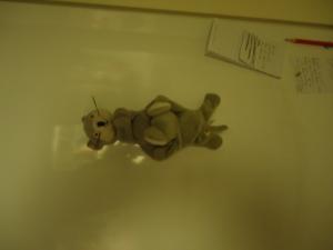 <img300*0:stuff/z/1/GoodbyeJohanna/dsc03856.jpg>