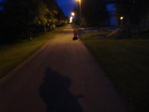 <img300*0:stuff/z/1/Goodbyw%2520Sweden%2520Beach%2520Party/DSC01058.JPG>