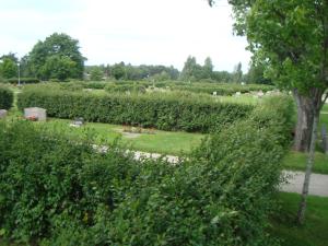 <img300*0:stuff/z/1/Gravsattning%2520Helge/DSC01570.JPG>