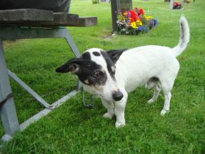<img300*0:stuff/z/1/Gravsattning%2520Helge/DSC01573.JPG>