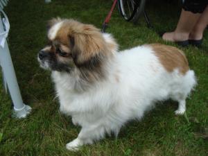 <img300*0:stuff/z/1/Gravsattning%2520Helge/DSC01577.JPG>