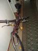 Hedda_new_bike