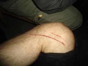 <img300*0:stuff/z/1/JakobJessie/dsc05184.jpg>