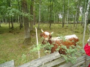 <img300*0:stuff/z/1/JakobJessie/dsc05205.jpg>
