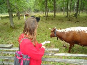 <img300*0:stuff/z/1/JakobJessie/dsc05206.jpg>