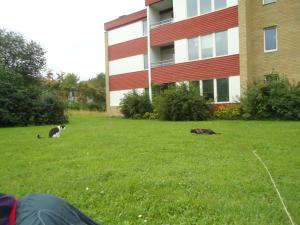 <img300*0:stuff/z/1/JakobJessie/dsc05207.jpg>