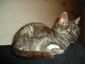 <img300*0:stuff/z/1/JakobJessie/dsc05215.jpg>