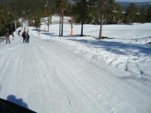 <img300*0:stuff/z/1/Jarvo%2520Alpin/DSC01745.JPG>