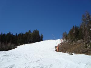 <img300*0:stuff/z/1/Jarvo%2520Alpin/DSC01747.JPG>