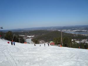 <img300*0:stuff/z/1/Jarvo%2520Alpin/DSC01753.JPG>