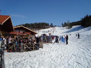 <img300*0:stuff/z/1/Jarvo%2520Alpin/DSC01765.JPG>