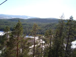 <img300*0:stuff/z/1/Jarvo%2520Alpin/DSC01772.JPG>