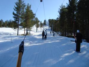 <img300*0:stuff/z/1/Jarvo%2520Alpin/DSC01777.JPG>