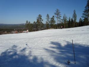 <img300*0:stuff/z/1/Jarvo%2520Alpin/DSC01778.JPG>
