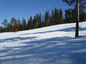 <img300*0:stuff/z/1/Jarvo%2520Alpin/DSC01780.JPG>