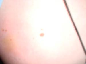 <img300*0:stuff/z/1/Jindrich%2520Goodbye%2520party/DSC04052.JPG>