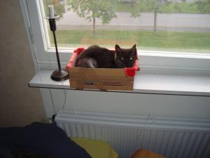 <img300*0:stuff/z/1/Jindrich%2520Goodbye%2520party/DSC04095.JPG>