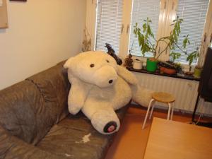 <img300*0:stuff/z/1/Jindrich%2520Goodbye%2520party/DSC04101.JPG>