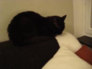 <img300*0:stuff/z/1/Jonas%2520Party/DSC01174.JPG>