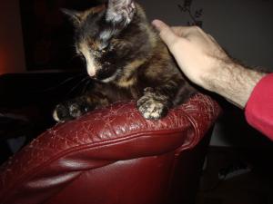 <img300*0:stuff/z/1/Jonas%2520Party/DSC01177.JPG>