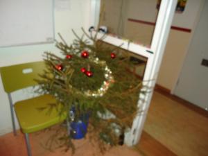 <img300*0:stuff/z/1/JosefinLillaStoor/dsc03741.jpg>