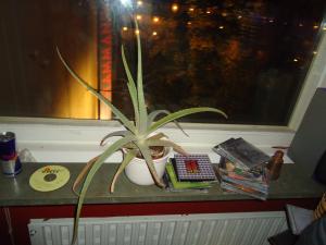 <img300*0:stuff/z/1/JuanSandraBD/dsc03133.jpg>
