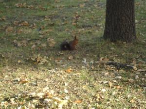 <img300*0:stuff/z/1/JuanSandraBD/dsc03141.jpg>